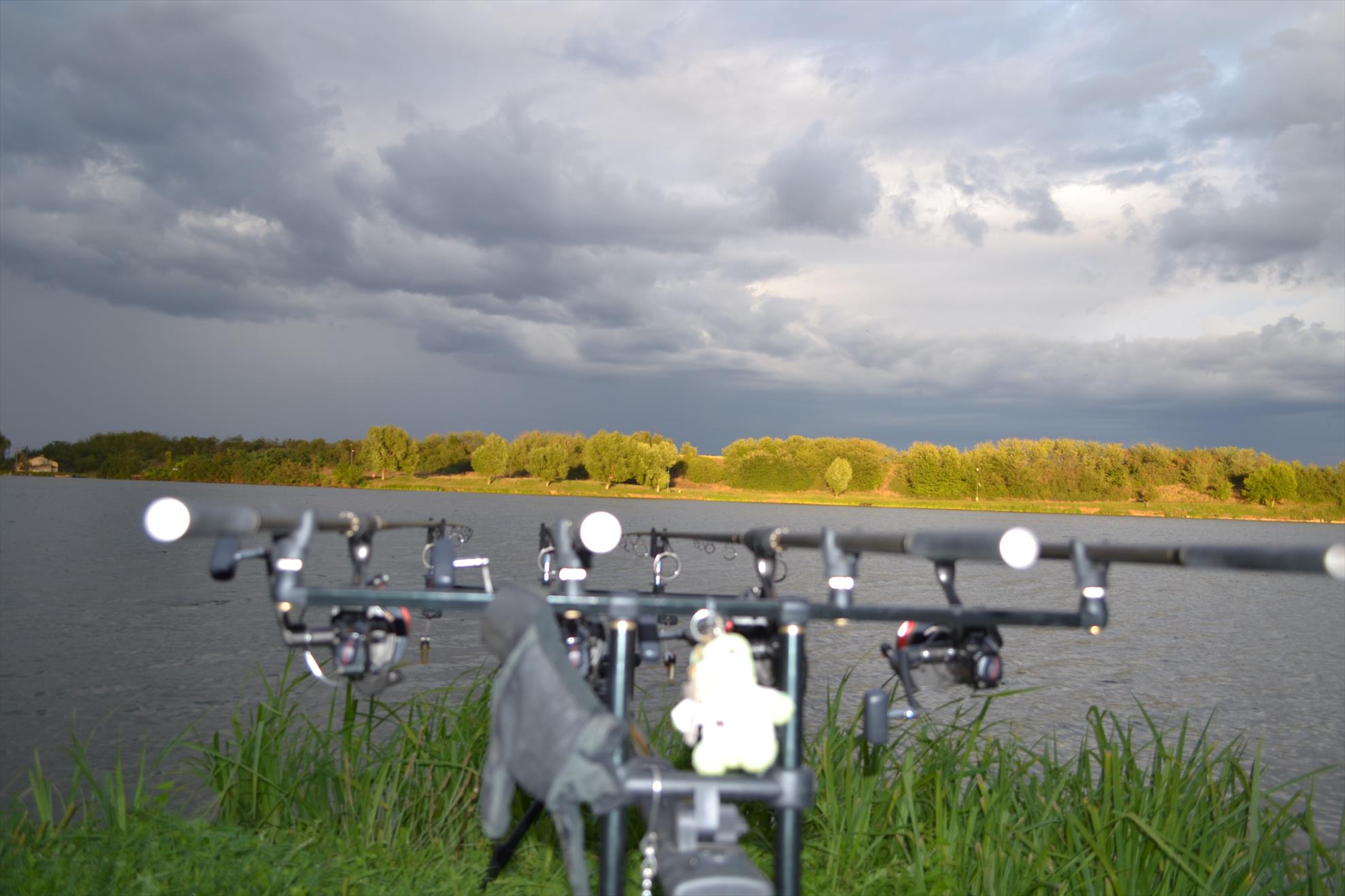 partide de pescuit - 201309031568.JPG